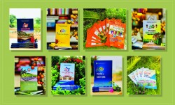 VƯỜN ƯƠM TRÍ TUỆ VÀ TÌNH NGƯỜI DƯỚI MÁI TRƯỜNG XƯA